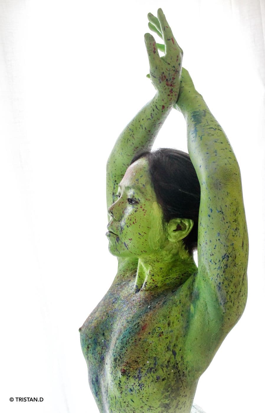 Kleptonus Greenicus, essai 1