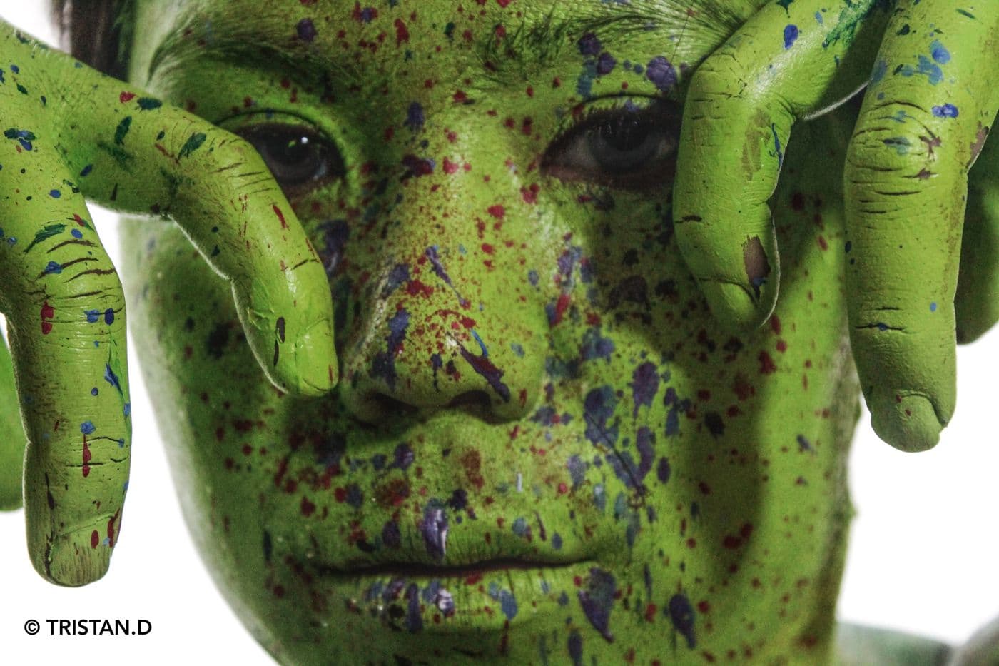 Kleptonus Greenicus, essai 2