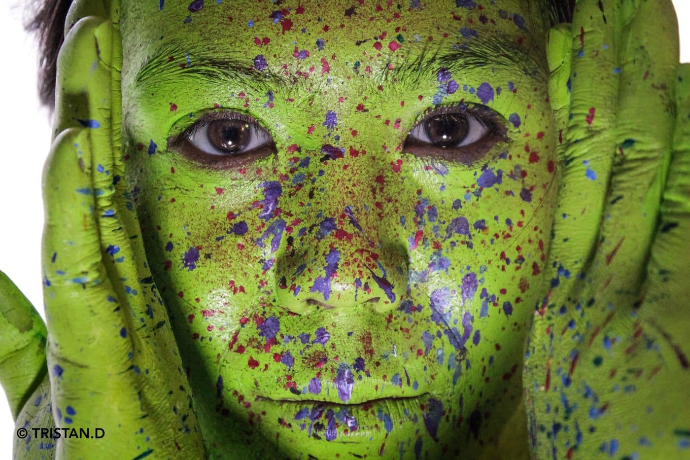 Kleptonus Greenicus, essai 3