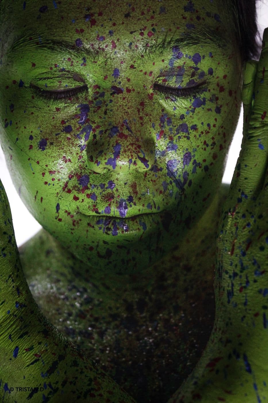 Kleptonus Greenicus, essai 4