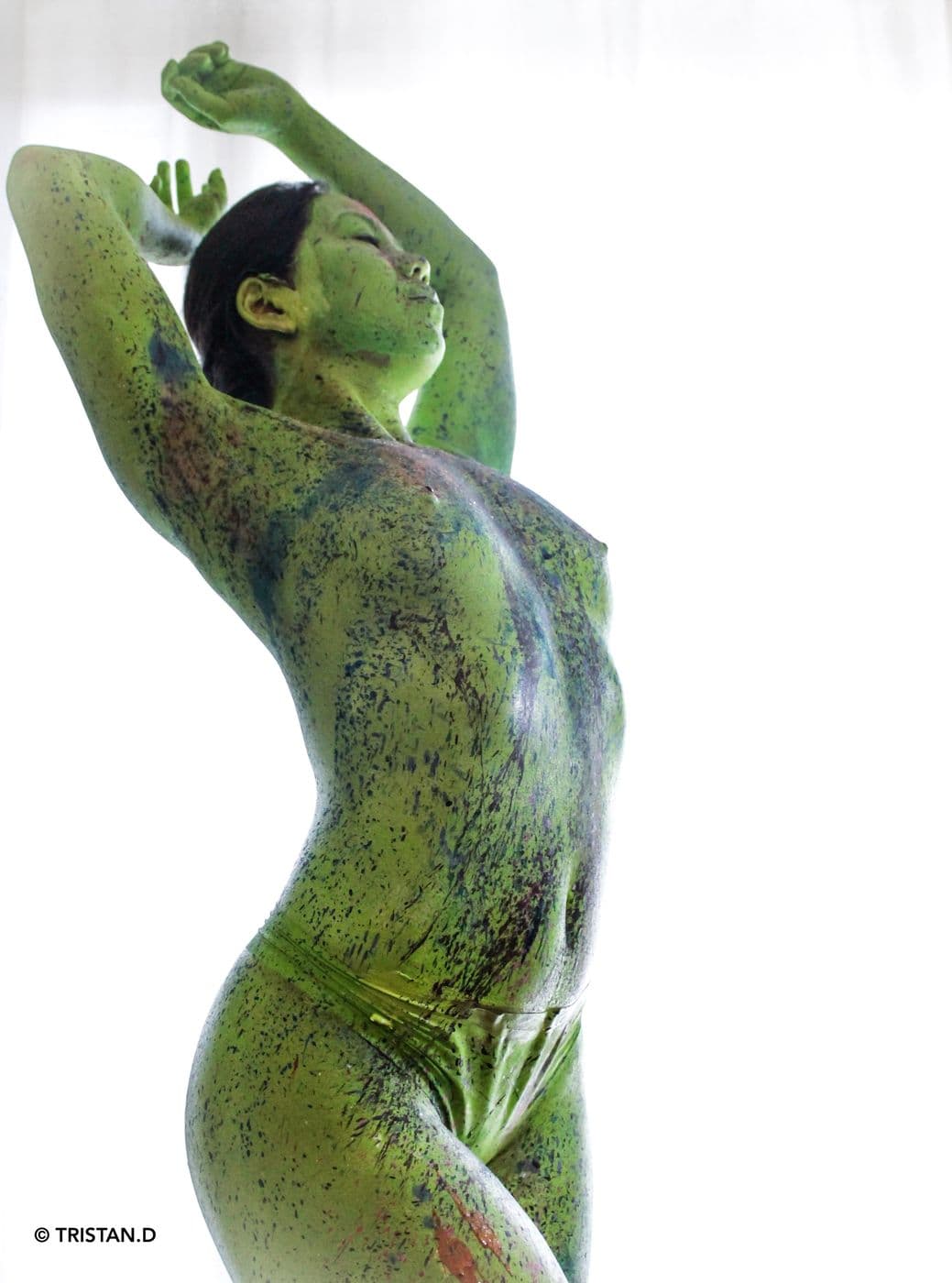 Kleptonus Greenicus, essai 5