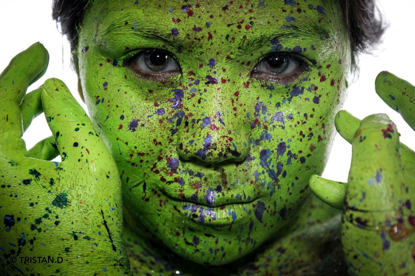 Kleptonus Greenicus, essai 6