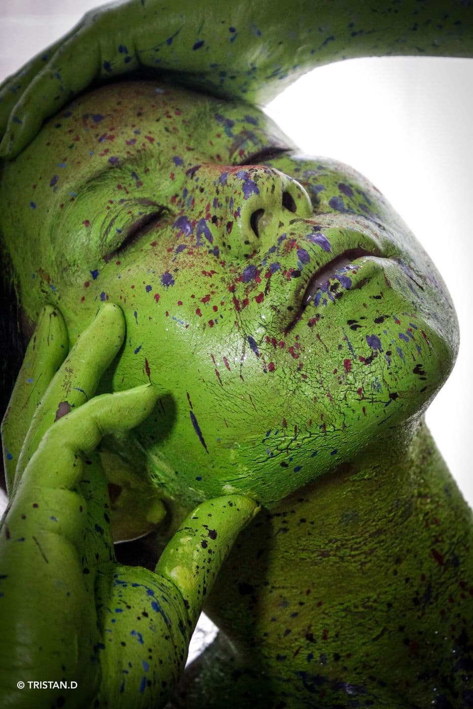 Kleptonus Greenicus, essai 7