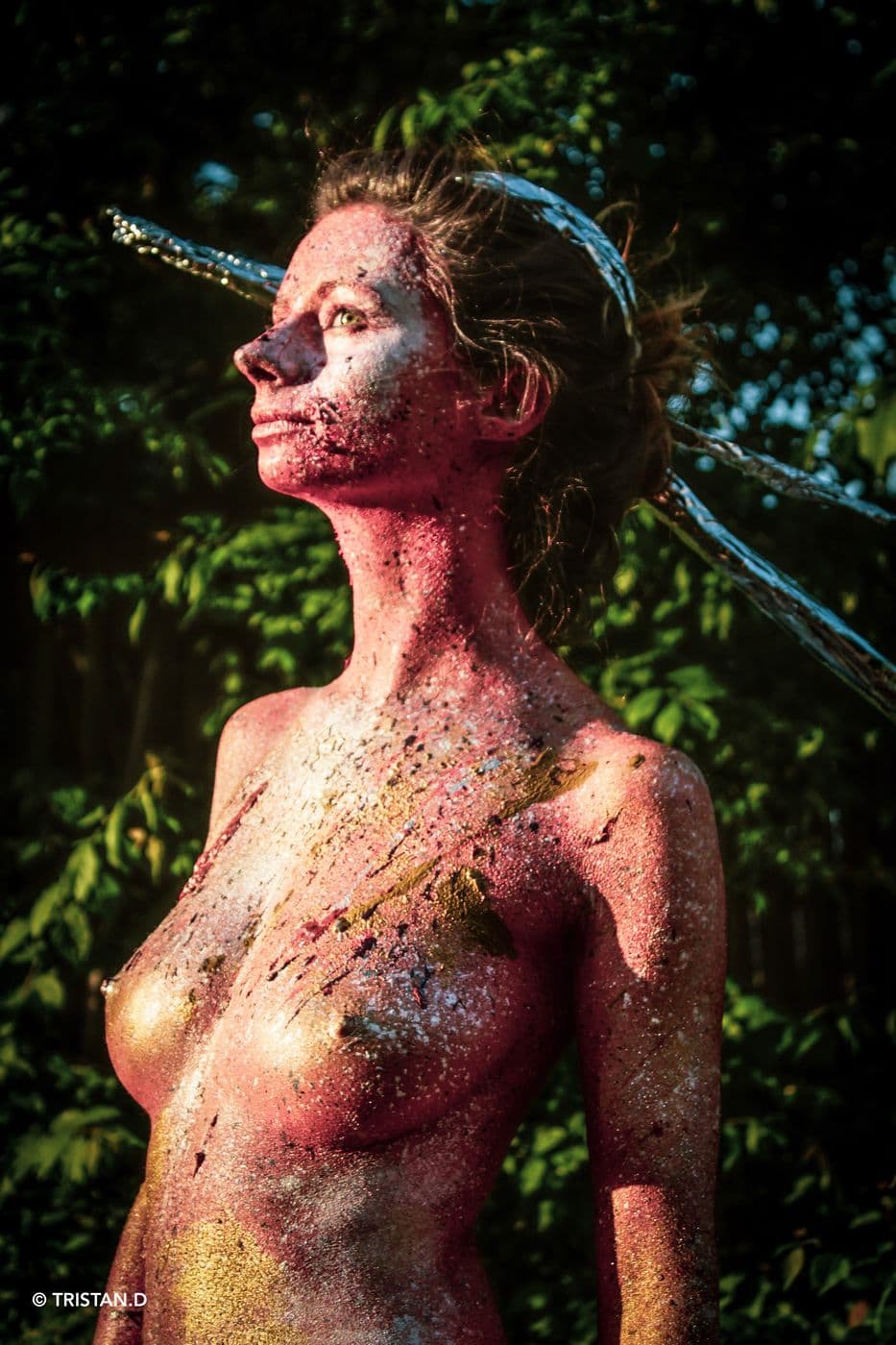 Terre Brûlée 2